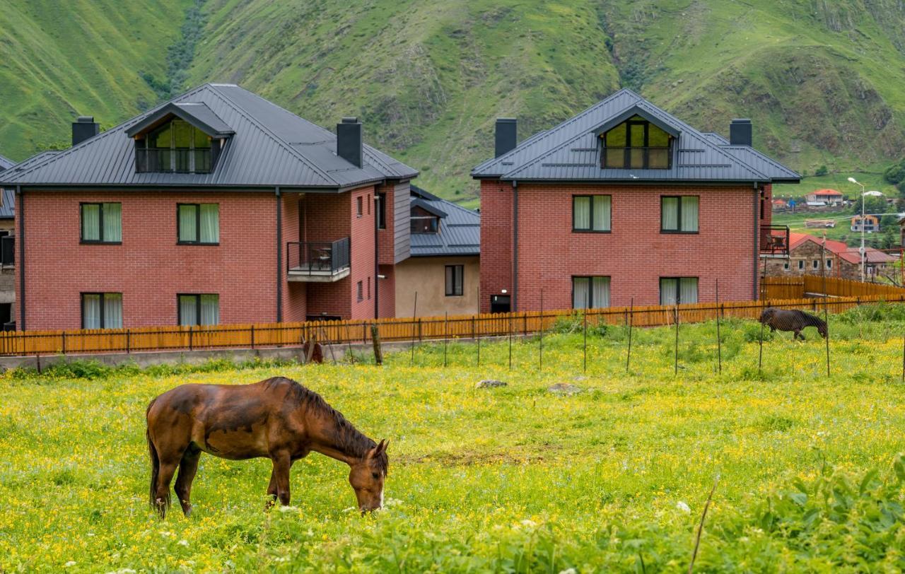 Devdaraki Apartments Kazbegi Esterno foto